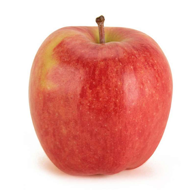 Ambrosia Superfresh Growers