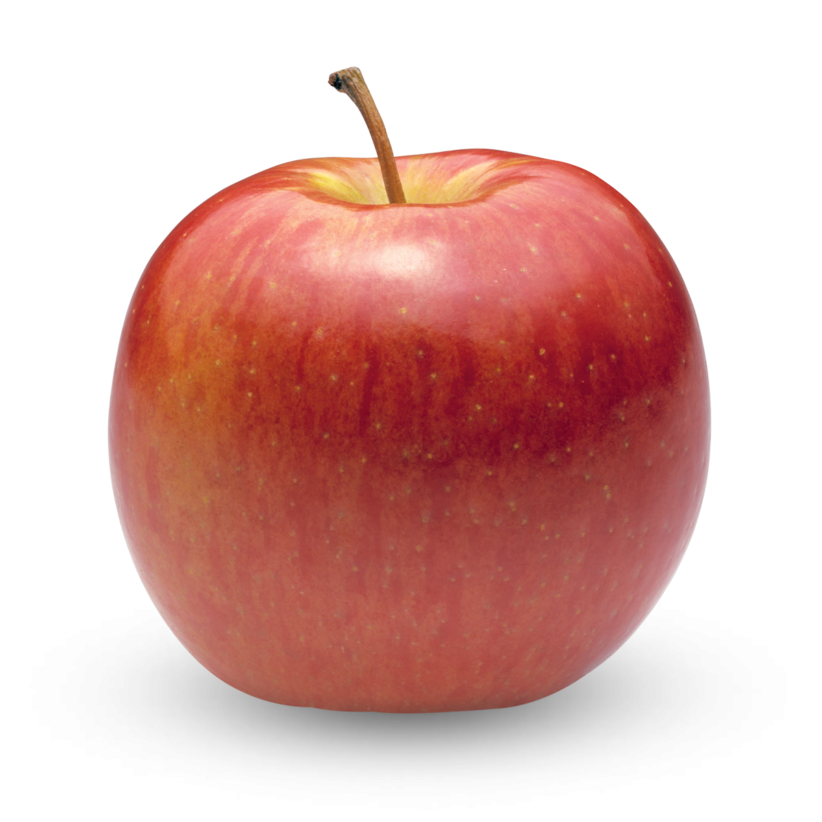 Granny Smith Superfresh Growers