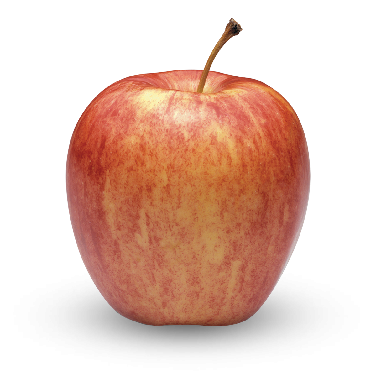 Ambrosia Superfresh Growers