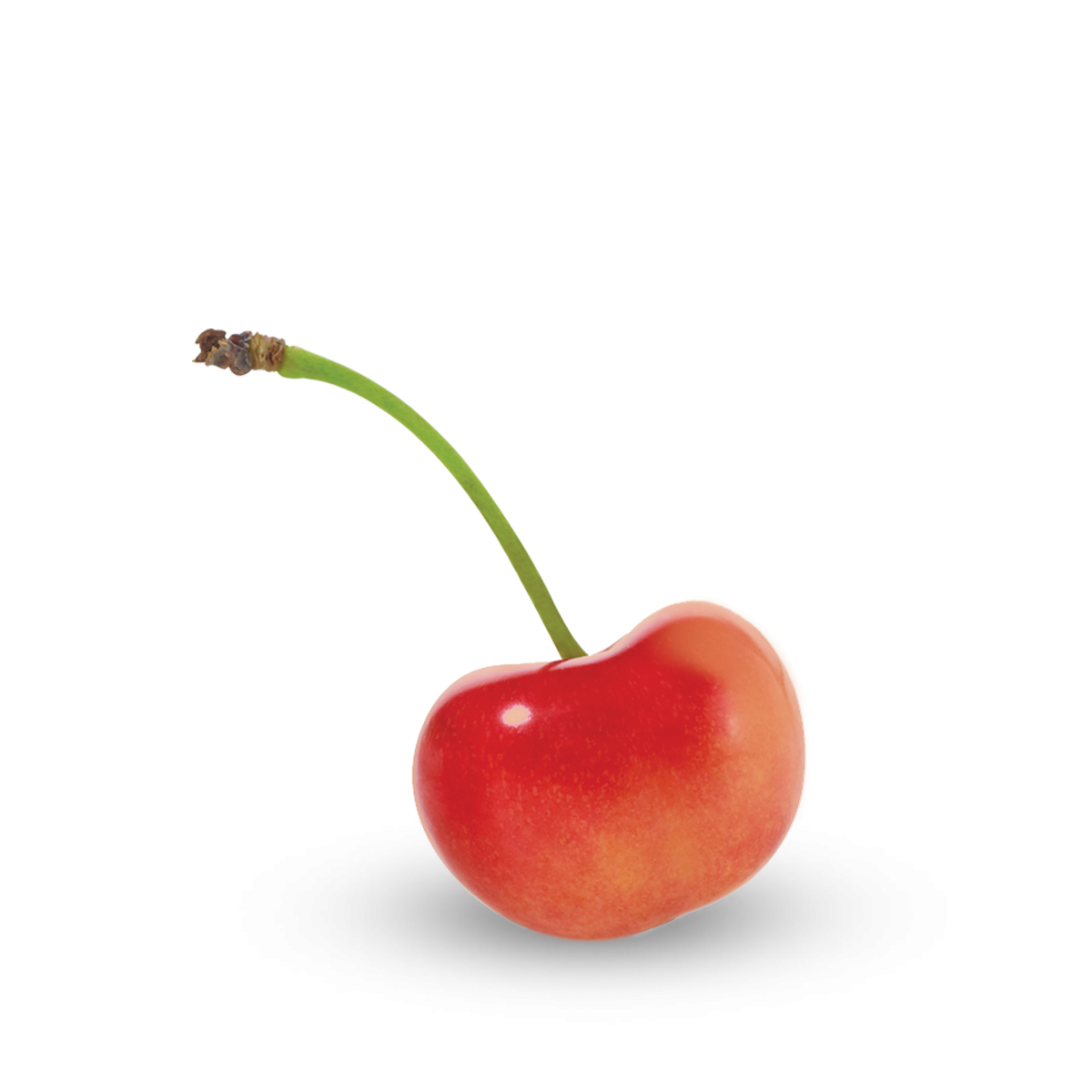 rainer-cherries.png