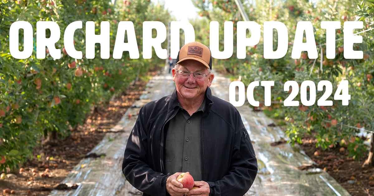 Orchard Update OCT 2024 - Superfresh Growers