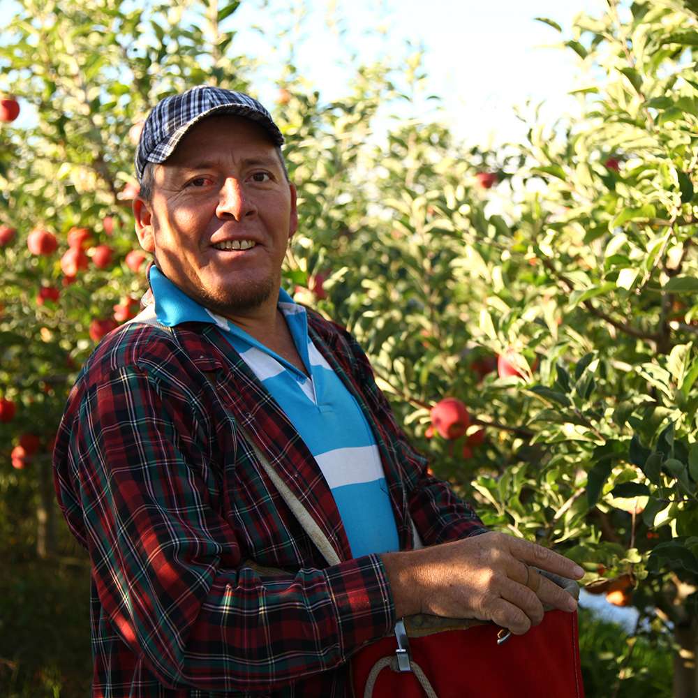 Superfresh Growers Announces the Arrival of Super Cherry